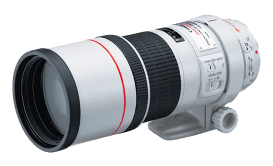 Чистка от пыли Canon EF 300 f/4L IS USM