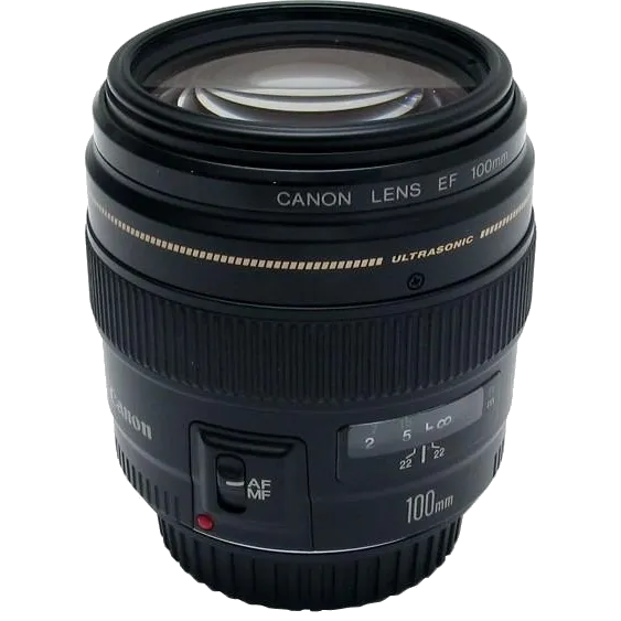 Чистка от пыли Canon EF 100 f/2 USM