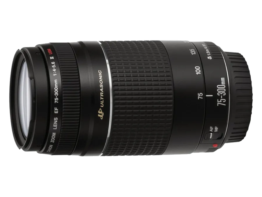 Чистка от пыли Canon EF 75-300 f/4-5.6 III USM