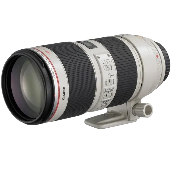 Чистка от пыли Canon EF 70-200 f/2.8L IS II USM