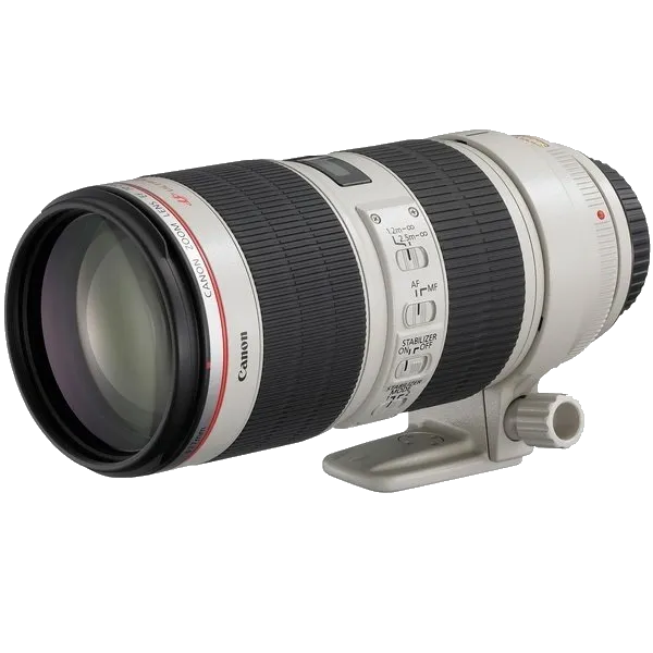 Чистка от пыли Canon EF 70-200 f/2.8L USM