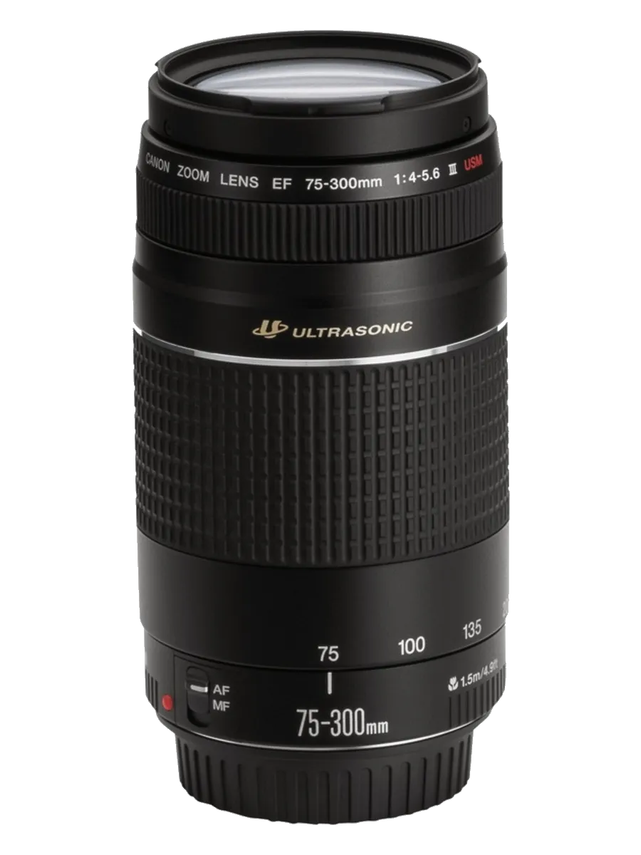 Чистка от пыли Canon EF 75-300 f/4-5.6 III