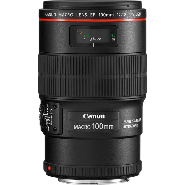 Чистка от пыли Canon EF 100mm f/2.8L Macro IS USM